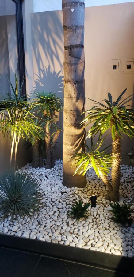 Condesa Cibel Lejlighed Mexico By Eksteriør billede